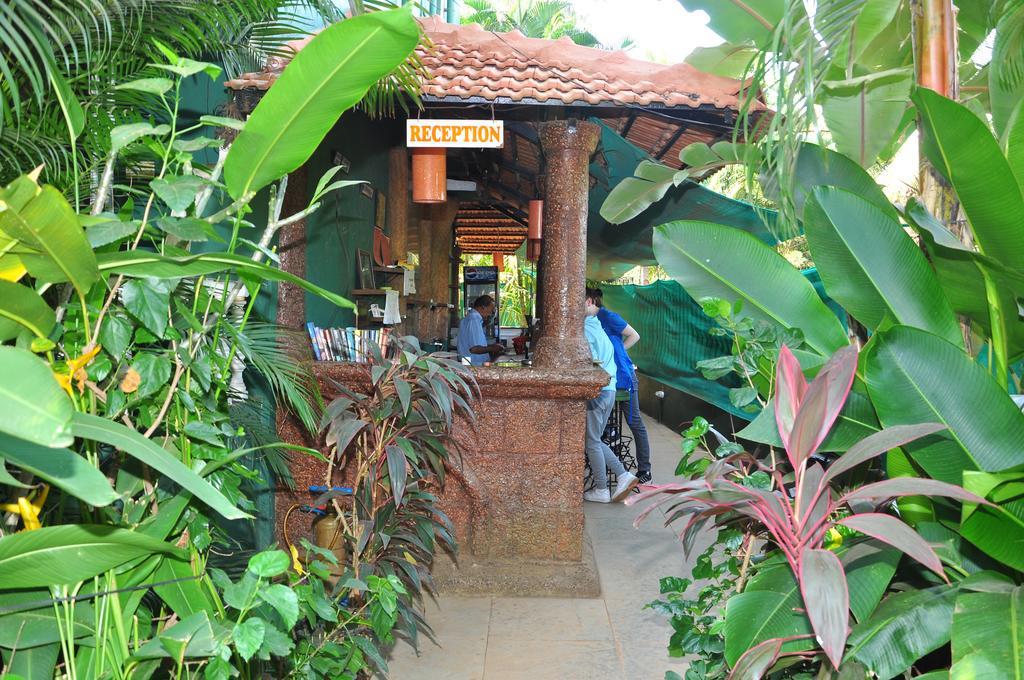 Villa Theresa Beach Resort Calangute Eksteriør billede