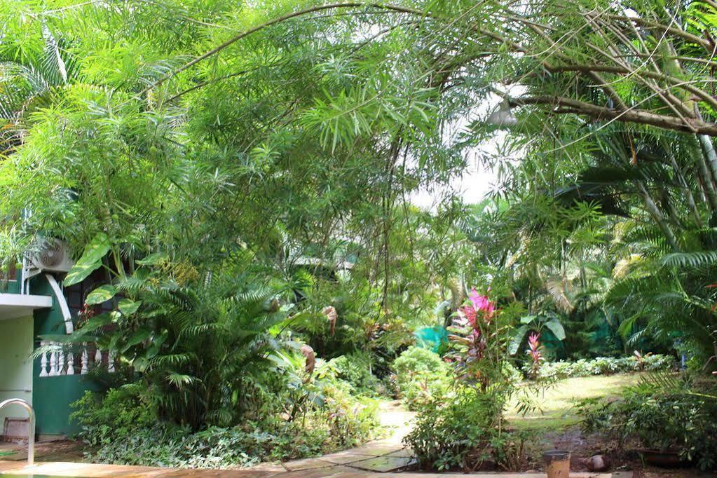 Villa Theresa Beach Resort Calangute Eksteriør billede