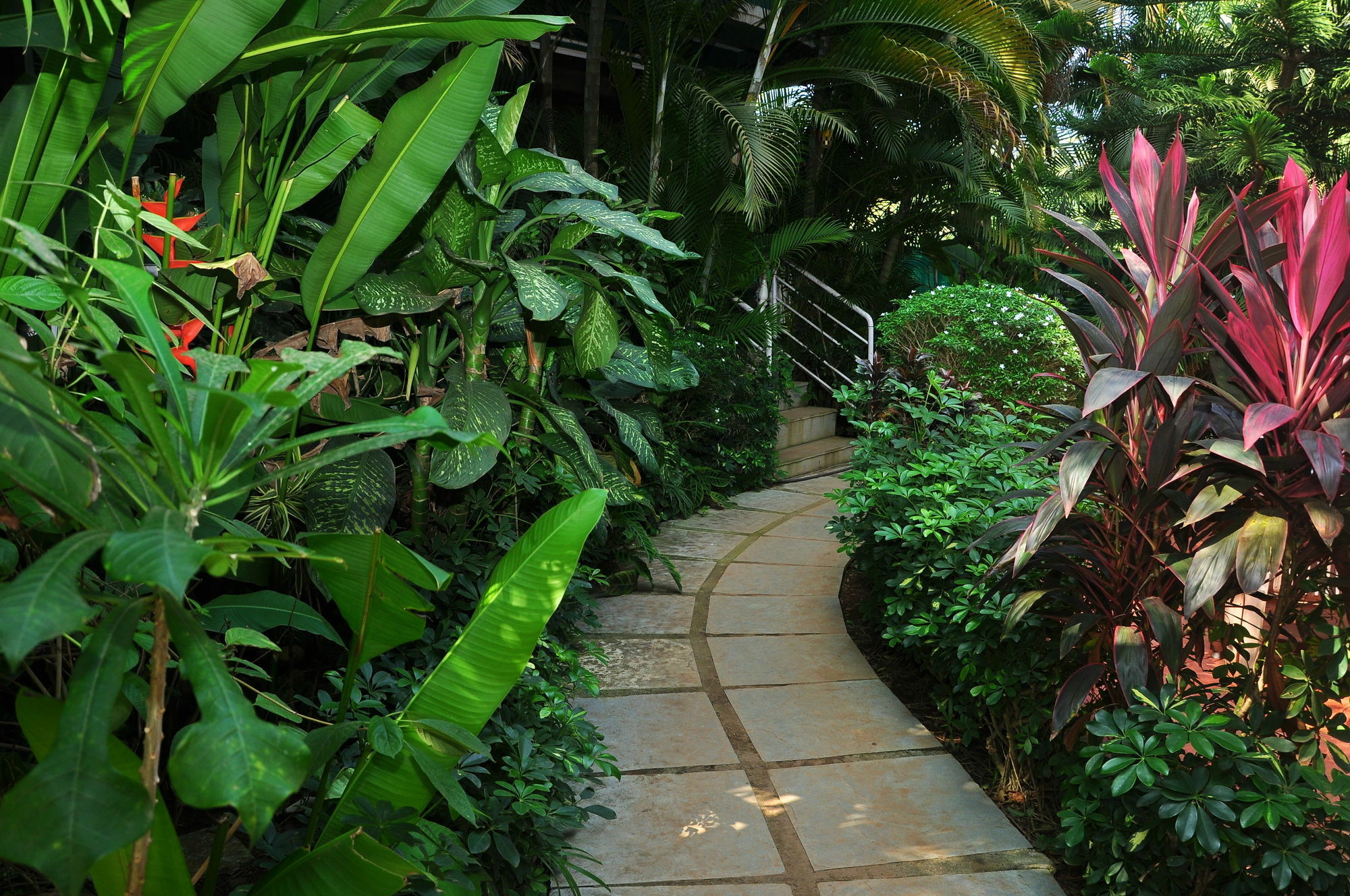 Villa Theresa Beach Resort Calangute Eksteriør billede